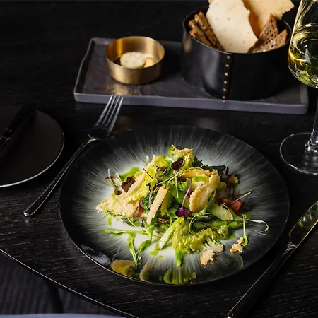 فندق راديسون بلو سكاي